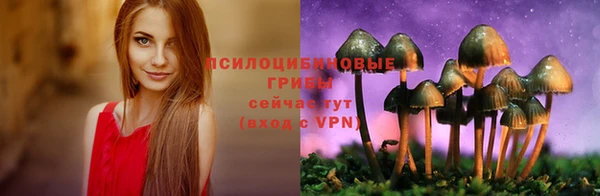 соль ск Алексеевка