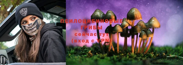 ГАЛЛЮЦИНОГЕННЫЕ ГРИБЫ Алзамай