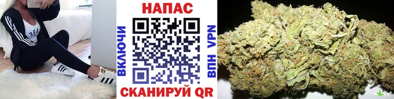 сколько стоит  Осташков  Каннабис конопля 